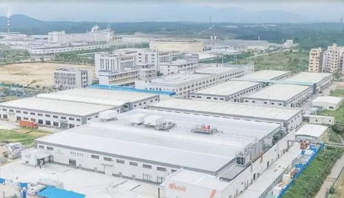 中國(guó)崛起為全球植物基食品重要市場(chǎng)，Omni新葷主義引領(lǐng)安心純素餐飲服務(wù)新潮流