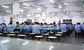 餐飲服務供應信息 品質與效率的雙重保障